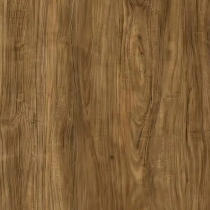 Acacia Brown — view 2